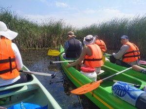 /tisza-to kenutúra1.jpg